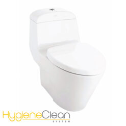 Bồn Cầu American Standard 1 Khối VF-2011