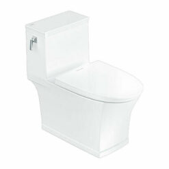 Bồn Cầu American Standard 1 Khối WP-2025