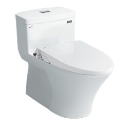 Bồn Cầu INAX AC-900R+CW-S15VN Nắp Rửa Cơ Cao Cấp