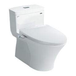 Bồn Cầu INAX AC-900R+CW-S32VN Nắp Rửa Cơ Cao Cấp