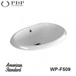 Lavabo Đặt Bàn American Standard WP-F509