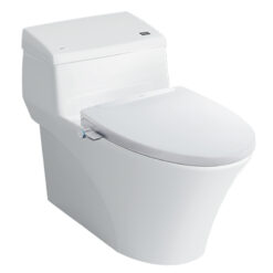 Bồn Cầu INAX AC-1017R+CW-S32VN Nắp Rửa Cơ Cao Cấp