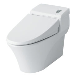 Bồn Cầu INAX AC-1008VRN (AC1008VRN) 1 Khối Aqua Ceramic