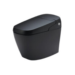 Bồn Cầu INAX AC-G216VN (ACG216VN) Điện Tử Thông Minh Màu Đen