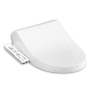 Nắp Bồn Cầu INAX