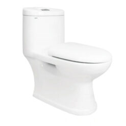 Bồn Cầu Viglacera 1 Khối C109 Kèm Vòi Xịt VG826