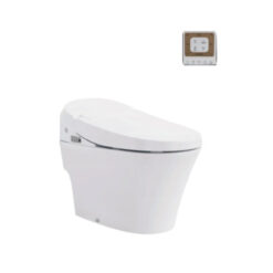 Bồn Cầu Điện Tử Viglacera V91