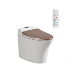 Bồn Cầu Điện Tử Viglacera V93.GW