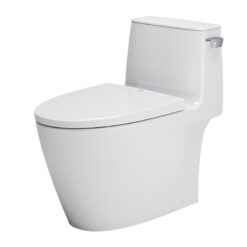 BỒN CẦU MỘT KHỐI