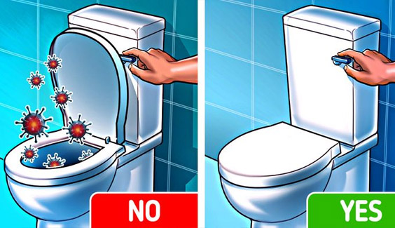 Thiết bị vệ sinh cao cấp