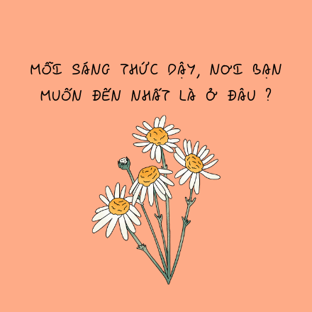 Thiết bị vệ sinh cao cấp