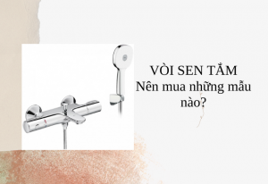 VÒI SEN TẮM Nên mua những mẫu nào