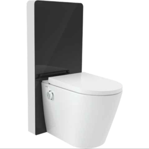 Bồn cầu điện tử Viglacera