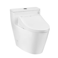 Bồn Cầu Điện Tử TOTO MS625CDW15 Washlet TCF24460AAA dòng C5