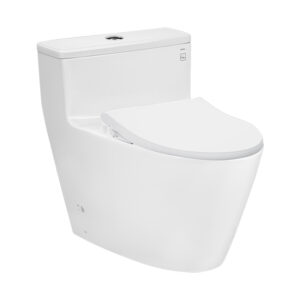 Bồn Cầu Nắp Rửa Cơ ToTo