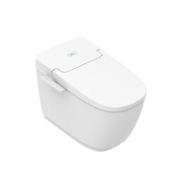 Bồn cầu thông minh INAX AC-816VN SARAS LIGHT E