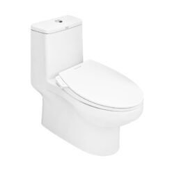 Bồn cầu American Standard VF-1858SW nắp rửa cơ