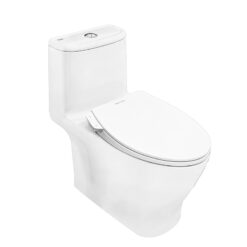 Bồn cầu American Standard VF-1862SW nắp rửa cơ