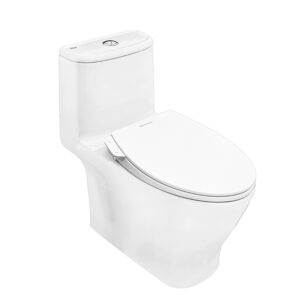 Bồn Cầu Nắp Rửa Cơ American Standard