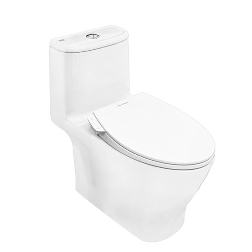 Thiết bị vệ sinh cao cấp chính hãng giá rẻ 2022 Bồn cầu American Standard VF-1862SW nắp rửa cơ