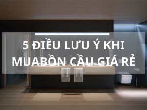Lưu ý khi mua bồn cầu giá rẻ