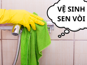 Hướng Dẫn Vệ Sinh Sen Vòi INAX Đúng Cách