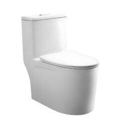 BỒN CẦU 1 KHỐI COTTO C1000024OS