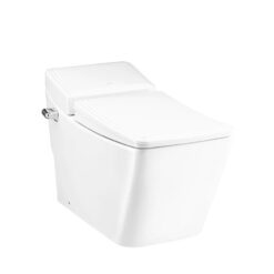 BỒN CẦU 1 KHỐI COTTO C10147