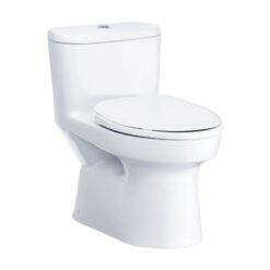 BỒN CẦU 1 KHỐI COTTO C1015