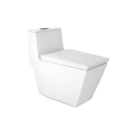 BỒN CẦU 1 KHỐI COTTO C102807