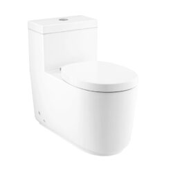 BỒN CẦU 1 KHỐI COTTO C102907