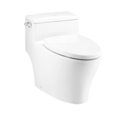 BỒN CẦU 1 KHỐI COTTO C10347