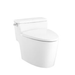 BỒN CẦU 1 KHỐI COTTO C105257