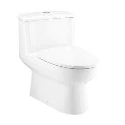 BỒN CẦU 1 KHỐI COTTO C105407