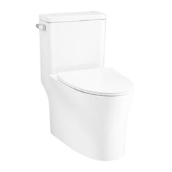 BỒN CẦU 1 KHỐI COTTO C105617