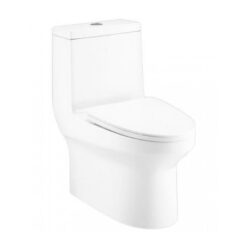 BỒN CẦU 1 KHỐI COTTO C11000OS