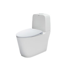 Bồn Cầu INAX AC-832/CW-S15VN Nắp Rửa Cơ INAX