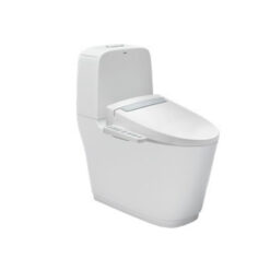 Bồn Cầu INAX AC-832/CW-H20VN Nắp Điện Tử INAX