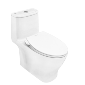 Bồn cầu nắp rửa cơ American