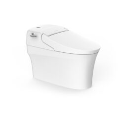 BỒN CẦU ĐIỆN TỬ AMERICAN STANDARD WP-5017