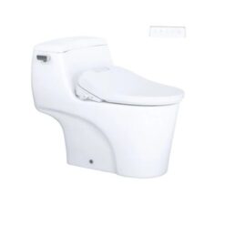 Bồn Cầu 1 Khối Nắp Rửa Điện Tử CAESAR C1353F/TAF610H