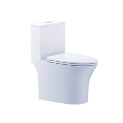 Bồn Cầu 1 Khối Caesar C1391 Nắp Rửa Êm