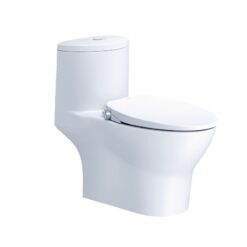 BỒN CẦU 1 KHỐI NẮP RỬA CƠ CAESAR C1375F/TAF060